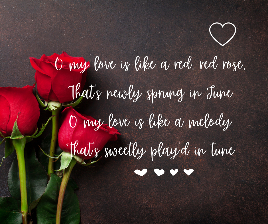 Scottish Valentines from Robert Burns?

Text on red roses reads:
My love is like a red, red rose
That's newly sprung in June
O my love is like a melody
That's sweetly played in tune